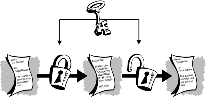 /theme-documentation-content-encryption/featured-image.png